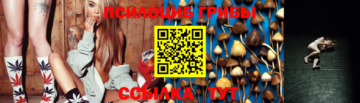Псилоцибиновые грибы Magic Shrooms Полысаево